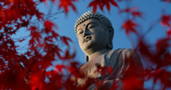 Mindfulness-workshop 