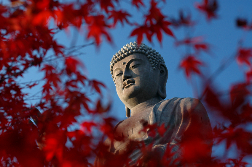 Silent Mindfulness Retreat 